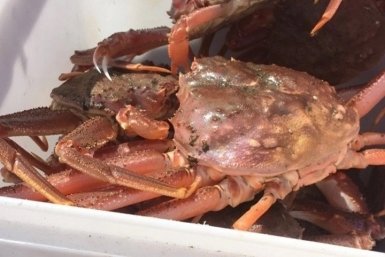 Тематическое фото ИА PrimaMedia