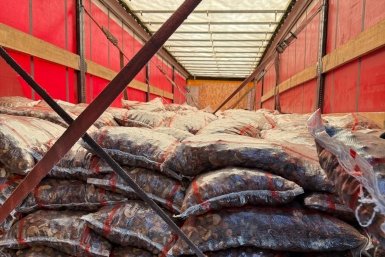 . управление Россельхознадзора по Красноярскому краю