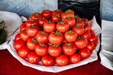 В России научились получать по 6 урожаев помидоров за год