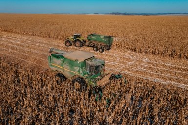 Россельхознадзор направил десятки предостережений аграриям Иркутской области Мария Смитюк, ИА PrimaMedia.ru