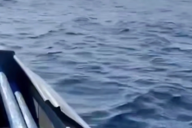 "Он мертвый?": страшная находка в море потрясла приморцев - фото