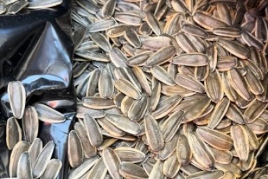 Семечки Россельхознадзор Забайкалья