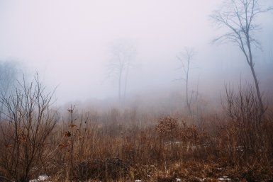 Жительница Сочи сутки медитировала в лесу, пока спасатели ее искали Мария Смитюк