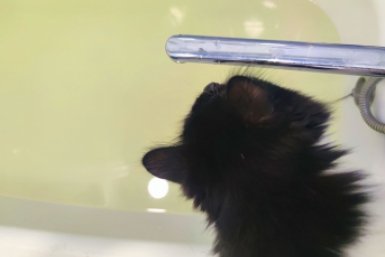 Возобновление подачи воды и тепла в Кисловодске контролирует прокуратура