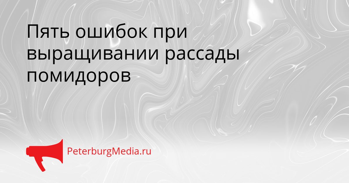 Пять ошибок при выращивании рассады помидоров