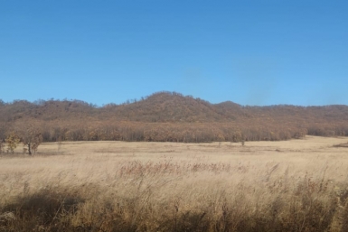 Кадастровая оценка земли и зданий в Якутии изменится в 2026-2027 годах Марина  Померанцева , ИА EAOMedia