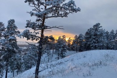 Гороскоп на 27 марта: Информацию следует тщательно проверять ИА YakutiaMedia