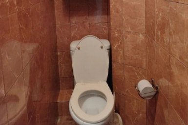 Посыпаю унитаз содой и сбрызгиваю уксусом - и желтый налет "шипит" и исчезает сам всего за 20 минут