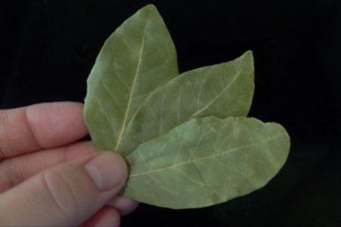 Рассыпаю измельченный лавровый лист вдоль плинтусов - и муравьи теряют след и навсегда уходят из дома за 24 часа