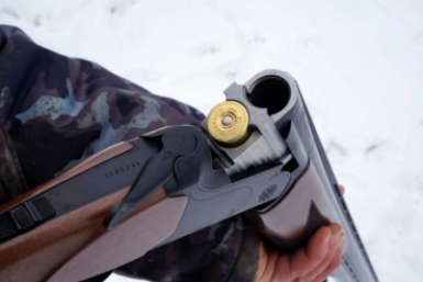 За убитую косулю взыскали 240 тысяч рублей с браконьера в ЕАО