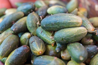 Эти 7 сортов огурцов для открытого грунта растут на жаре, и в холоде: урожай ведрами даже у новичка