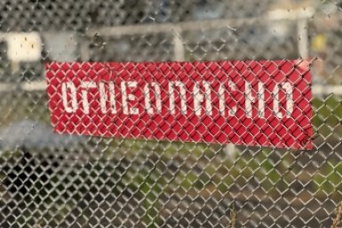 тематическое фото правительство ЕАР