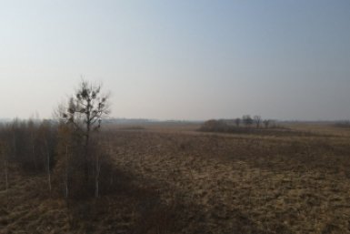 Тематическое фото Россельхознадзор