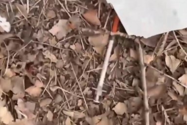 Кадр из видео Тг-канал (18+) народного фронта