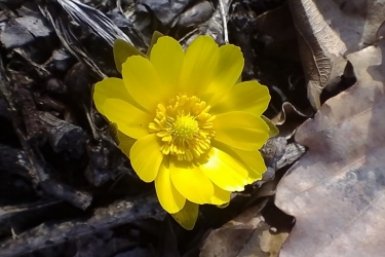 Будет чудо как тепло Игнат Клименко