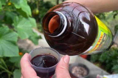 Как вижу муравейник – беру "черный стаканчик": заливаю гнездо – остается пустой бугорок