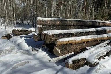 6041398.jpg?9442bf0bd9bb6386daabaf588af3fa87