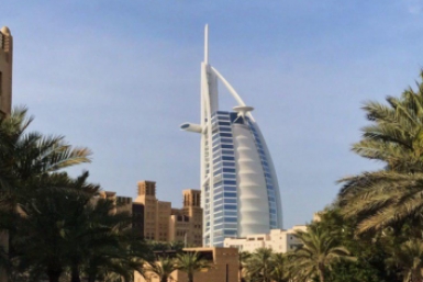 Дубай на грани: россияне уезжают, бросая питомцев