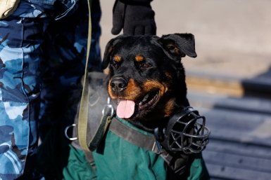 ФСБ задержала вице-мэра Сочи и двух руководителей департаментов — ТАСС