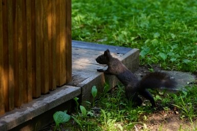 Кубанские курорты вошли в десятку лучших направлений для отдыха в апреле