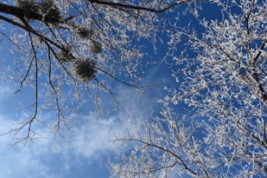 Гороскоп на 29 марта: Доверяйте фактам, а не эмоциям Артём Хорошилов  , ИА Stavropol.Media