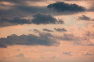 Облачными и ветреными будут наступающие выходные в Якутске Илья Аверьянов, ИА PrimaMedia