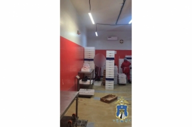 16 дел о нарушении миграционного закона возбудили за 2 недели на Ставрополье