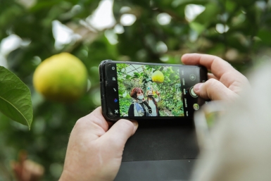 Как я жил без этого раньше: 10 дачных изобретений, которые меняют всё