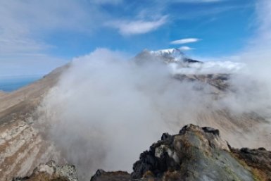 Новость дня