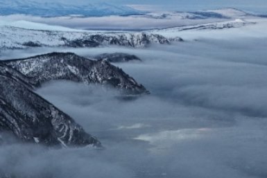 Новость дня