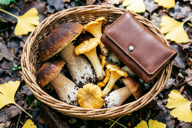 "Налог на грибы": сколько денег отдадут любители тихой охоты — с 1 числа