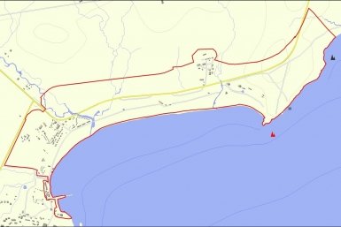 Новость дня