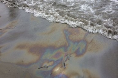 "Смертельно опасно": "нерадужное" пятно окрасило популярный пляж столицы ДФО