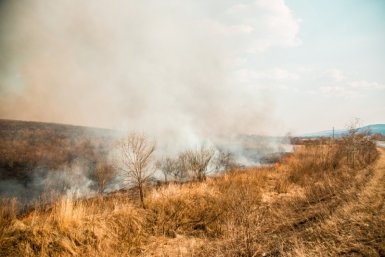 Тематическое фото Юлия Никитина, ИА PrimaMedia