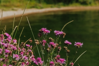 В Приангарье создали охраняемую территорию размером с целый мегаполис — но для чего? Юлия Ушакова, ИА IrkutskMedia