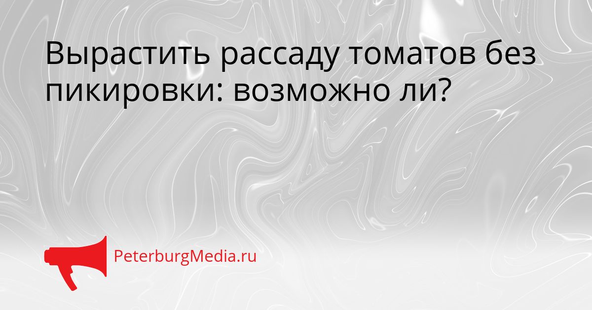 Вырастить рассаду томатов без пикировки: возможно ли?