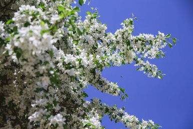 Аномальное тепло и арктические вторжения: каким будет апрель в России