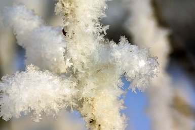 Тематическое фото ПСЦ Магаданской области