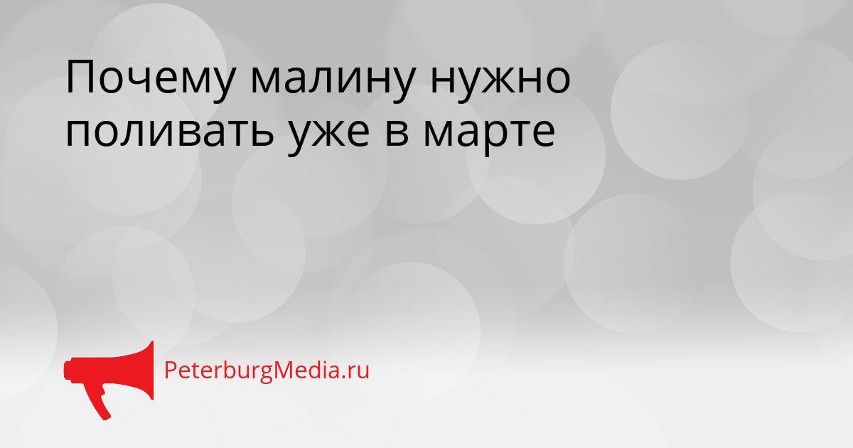 Почему малину нужно поливать уже в марте