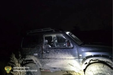 В Уссурийске ночью погиб человек, упав с автомобиля
