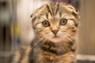 тематическое фото ИА ЕАОMedia