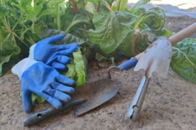 Что надо сделать на огороде в апреле, чтобы все лето земля давала мощный урожай