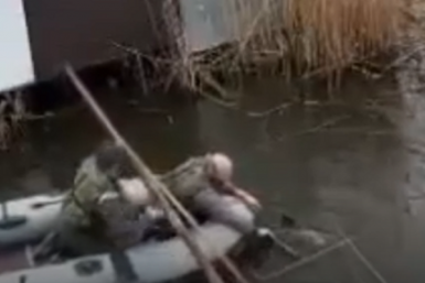 Два жителя Темрюкского района освободили дельфина из рыбацкой сети