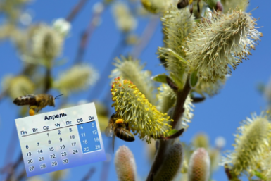 6 апреля в календаре: Великий Понедельник и Всемирный день мультфильмов