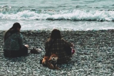 Сочи за 4 дня: как мы отдохнули и потратили всего 14 000 рублей ИА StolicaMedia