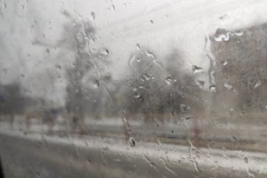 Пока вы спали: "мёртвый" интернет, продлить майские, курящий Киркоров и спасение кота Бони