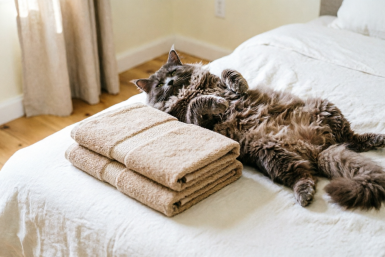 3 простых трюка — и полотенца мягче кошачьей шерстки: на кондиционер больше не трачусь