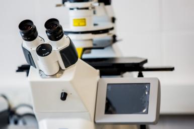 Пройдите викторину и узнайте, гений вы или просто везунчик — ТЕСТ