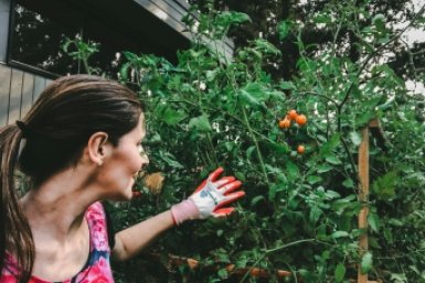 Земля сама станет мягкой: 3 шага к идеальной грядке — урожай растет, а спина не болит