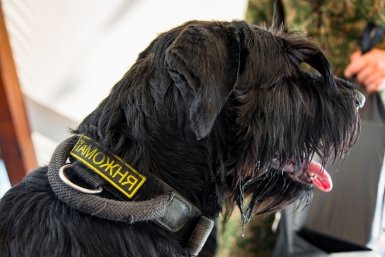 Новость дня